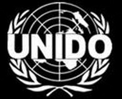 организация объединённых наций по промышленному развитию